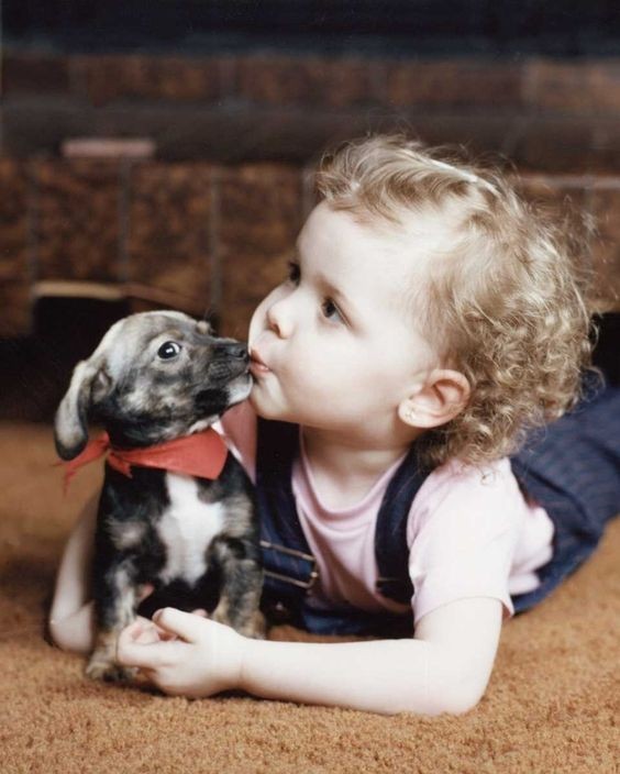 Enfant et leur animal