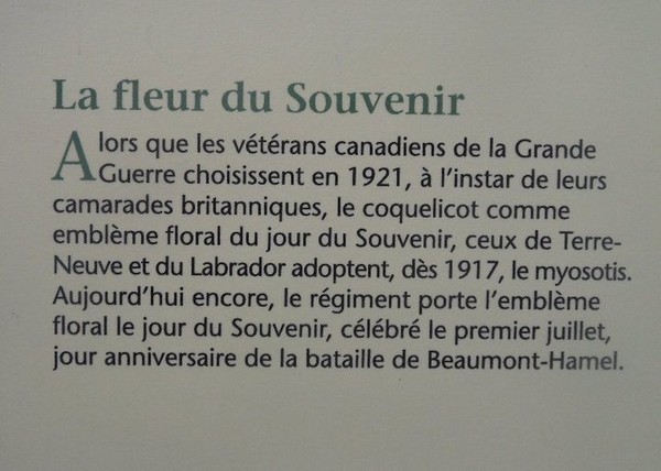 Beaumont-Hamel- 1ére guerre mondiale ,bataille de la Somme