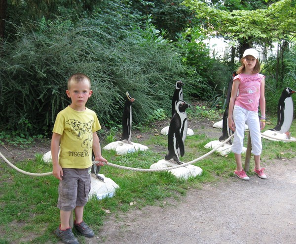 Zoo d'Amiens -2012