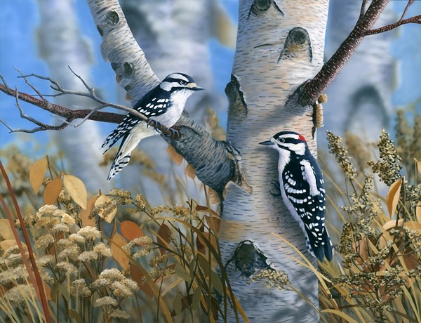 Superbe peinture d'oiseaux de Bradley Jackson