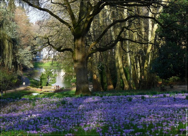 Parc   fleuri