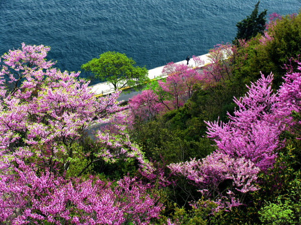 Paysages -Printemps -Eté