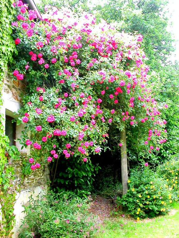 Paysages -Printemps -Eté