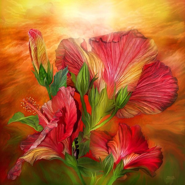 Fleurs de Carol Cavalaris