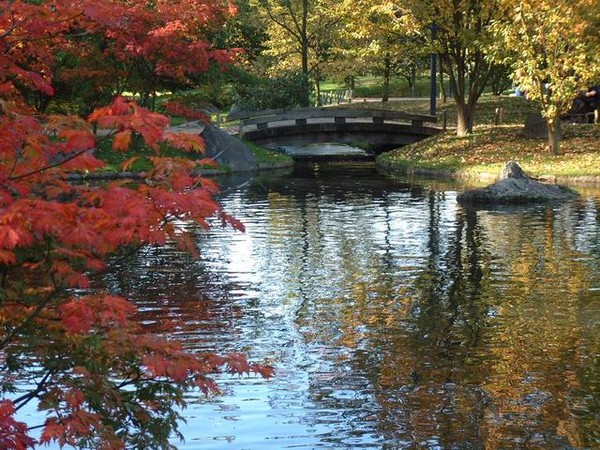 Paysage d'automne