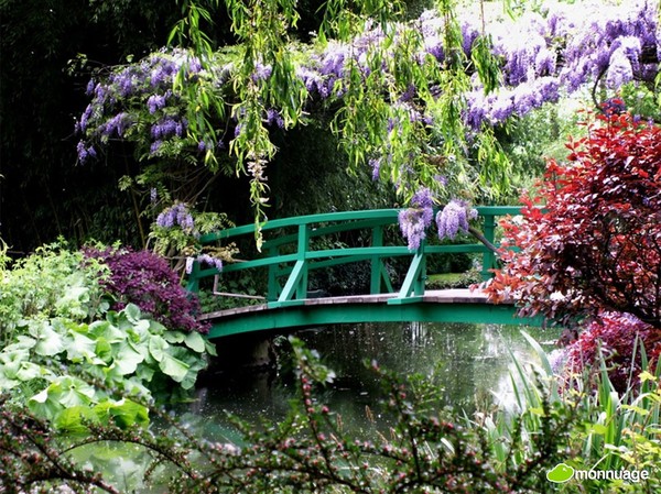 Parc et jardin  fleuris 