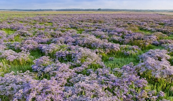 Paysages -Printemps -Eté