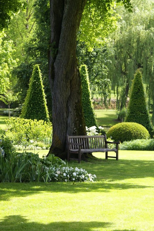 Parc au printemps