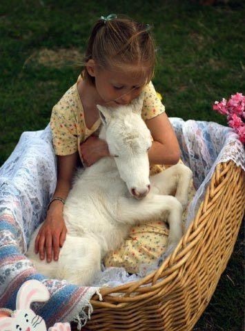 Enfant et leur animal