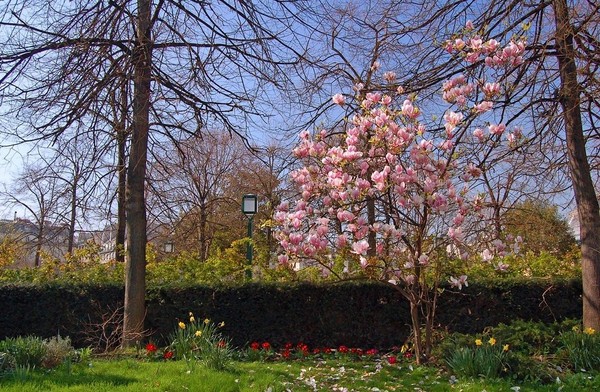 Paysages -Printemps -Eté