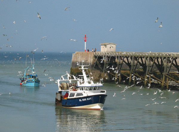 Plage de Haute Normandie