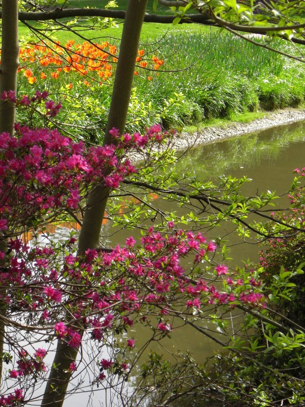 Paysages -Printemps -Eté