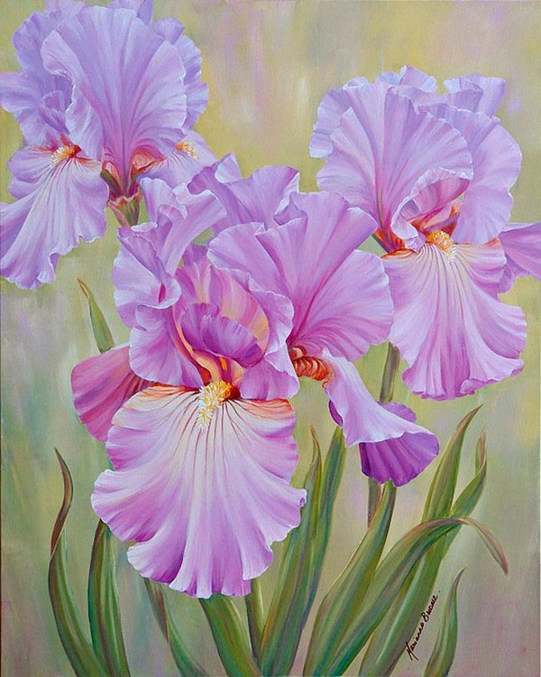 Fleurs de Marianne Broome.