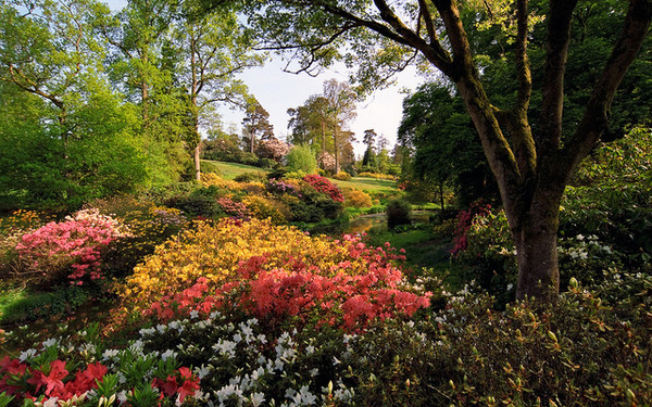 Parc   fleuri