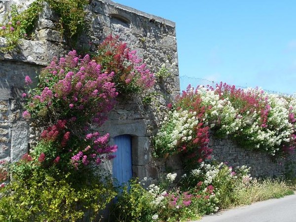 Paysages -Printemps -Eté