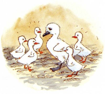 Conte d'Andersen- Le vilain petit canard