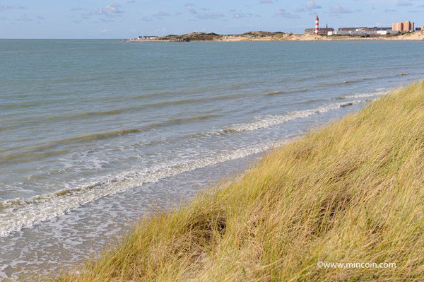 Plage de Picardie