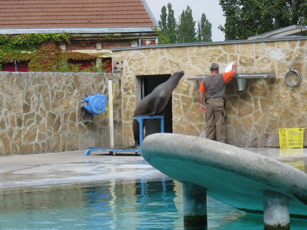 Zoo d' Amiens- 2012