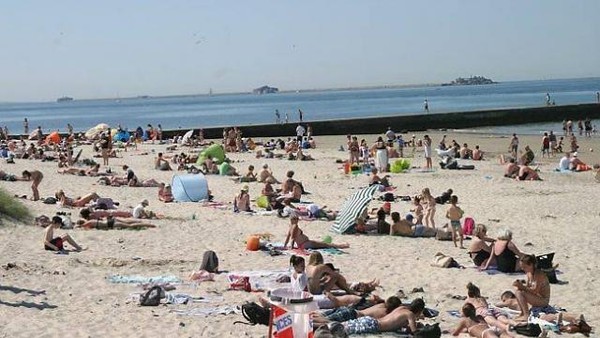 Plage de Basse Normandie (Manche)