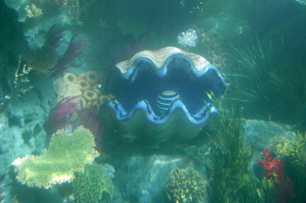 Nemo (Disney)